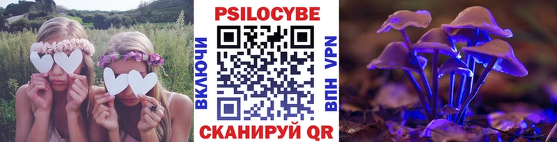 Галлюциногенные грибы Psilocybine cubensis  omg tor  Тетюши 